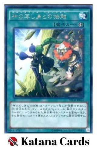 Carte yugioh el - carte,